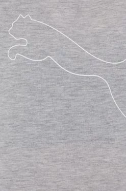 Γυναικεία Κοντομάνικο Μπλουζάκι προπόνησης Puma Rtg Heather γκρι 9 Γυναικεία Κοντομάνικο Μπλουζάκι προπόνησης Puma Rtg Heather γκρι -Puma Κατάστημα unnamed file 3331