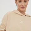 Γυναικεία Χωρίς φερμουάρ Μπλούζα Puma μπεζ,